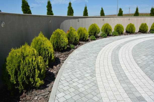 Best Professional Driveway Pavers  in Tri City, OR